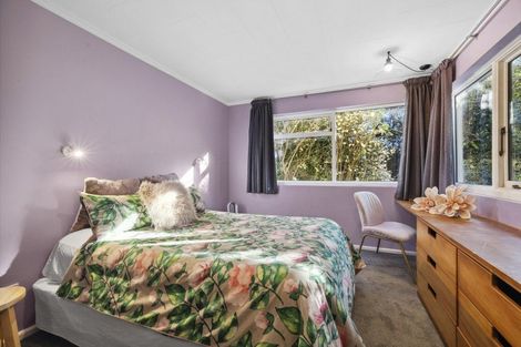 Photo of property in 4 Heath Street, Andersons Bay, Dunedin, 9013