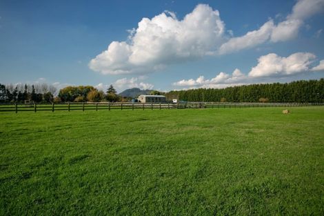 Photo of property in 298 Bellevue Road, Matangi, Cambridge, 3493