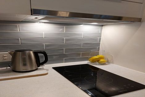 Photo of property in Urbane Apartments, 26/29 Webb Street, Mount Cook, Wellington, 6011