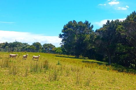 Photo of property in 9/11 Ocean View Road, Cable Bay, 0420