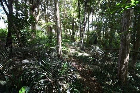 Photo of property in 51 Hill Street, Warkworth, 0910