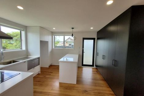 Photo of property in 316a Saint Aubyn Street, New Plymouth, 4310