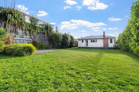 Photo of property in 31 Awanui Street, Merrilands, New Plymouth, 4312