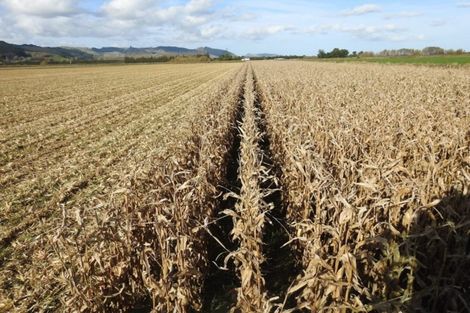 Photo of property in 52 Saddler Road, Muriwai, Gisborne, 4072