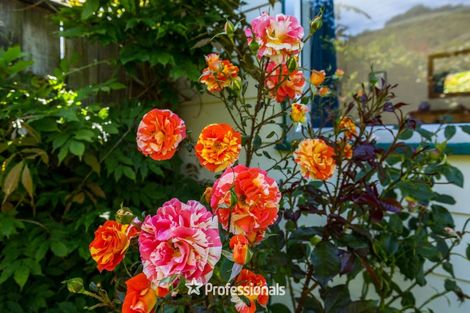 Photo of property in 1 Gemstone Drive, Birchville, Upper Hutt, 5018