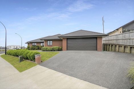 Photo of property in 117 Te Manatu Drive, Huntington, Hamilton, 3210
