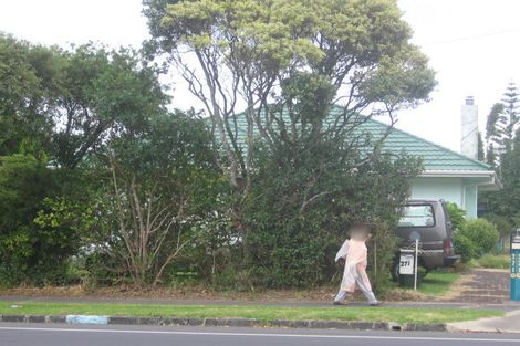 Photo of property in 271 Mount Albert Road, Wesley, Auckland, 1041