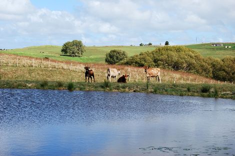 Photo of property in 956c Oneriri Road, Kaiwaka, 0573