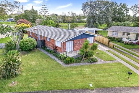 Photo of property in 73 Rosser Street, Huntly, 3700