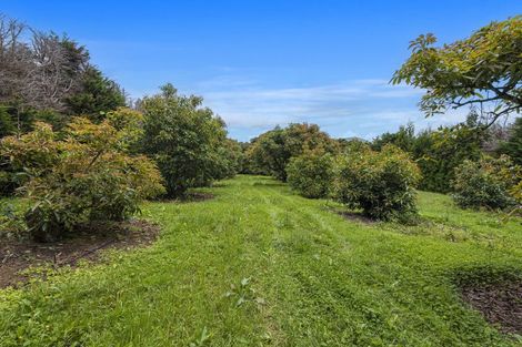 Photo of property in 161 Newton Road, Maungatapere, Whangarei, 0170