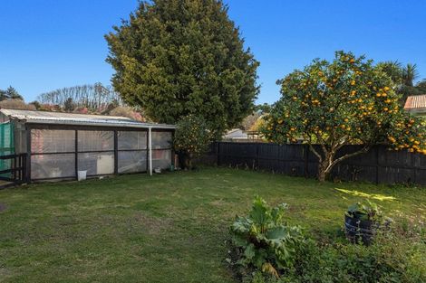 Photo of property in 415 River Road, Kawerau, 3127