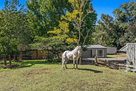 Photo of property in 529 Grieve Road, Te Teko, Whakatane, 3192