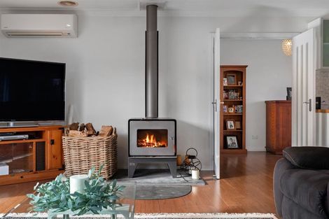 Photo of property in 22 Charles Court, Lake Hawea, Wanaka, 9382