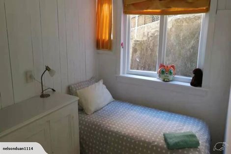 Photo of property in 26 Tweed Street, Roslyn, Dunedin, 9010