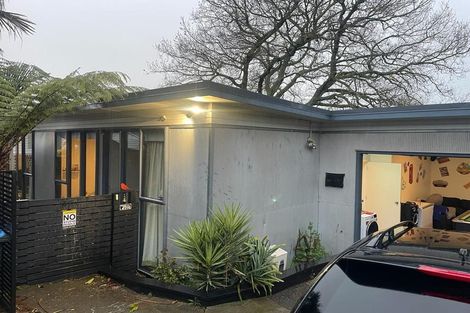 Photo of property in 47 Hendry Avenue, Hillsborough, Auckland, 1042