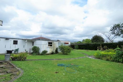 Photo of property in 16 Bledisloe Street, Levin, 5510