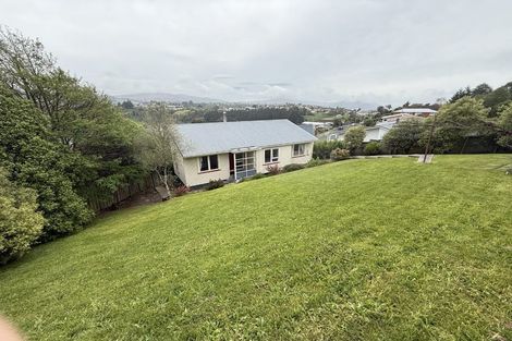Photo of property in 113 Mulford Street, Concord, Dunedin, 9018