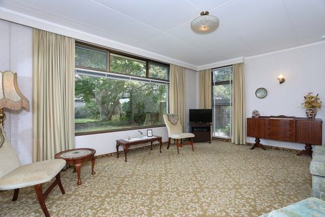 Photo of property in 19 Fitzroy Street, Terrace End, Palmerston North, 4410