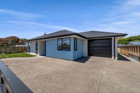 Photo of property in 39a South Road, Blagdon, 4310