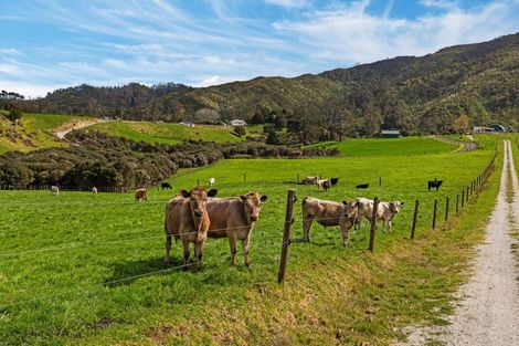 Photo of property in 5 William James Lane, Makarau, Warkworth, 0984