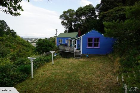 Photo of property in 11 Irvine Street, Aro Valley, Wellington, 6012
