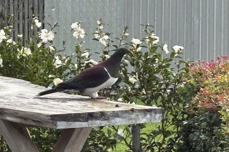 Photo of property in 969 Kaipara Flats Road, Kaipara Flats, Warkworth, 0984