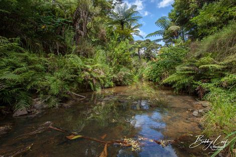 Photo of property in 1 Lori Lane, Coopers Beach, 0420
