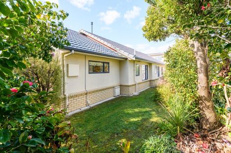 Photo of property in 14 Winston Avenue, Hokowhitu, Palmerston North, 4410