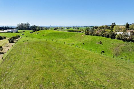Photo of property in 390 Hereford Road, Oropi, Tauranga, 3173