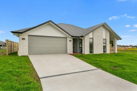 Photo of property in 29 William Paul Street, Cambridge, 3434