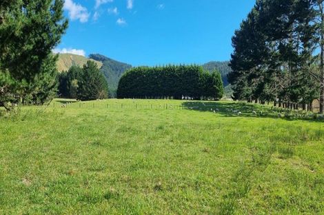 Photo of property in 216 Potts Road, Koputaroa, Levin, 5571