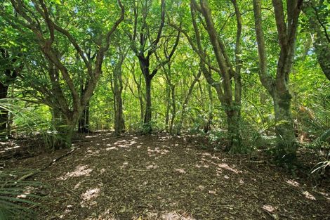 Photo of property in 15 Catley Road, Te Horo, Otaki, 5582