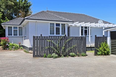 Photo of property in 46b Napier Road, Havelock North, 4130