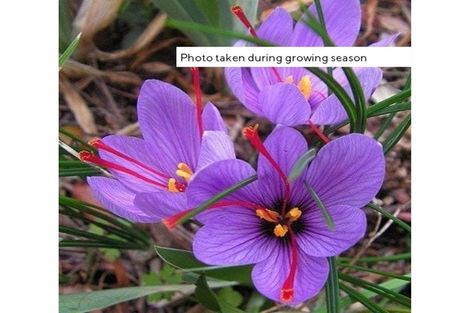 Photo of property in 741 Poyntzs Road, Eyrewell, Rangiora, 7476