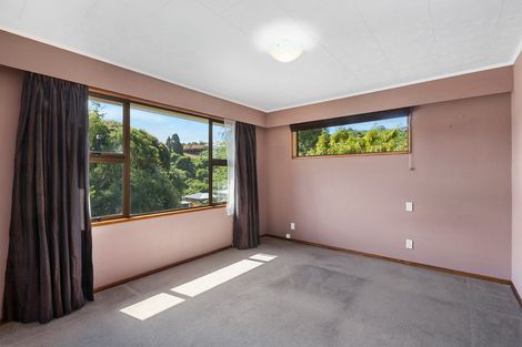 Photo of property in 17 Cawdor Place, Waverley, Dunedin, 9013