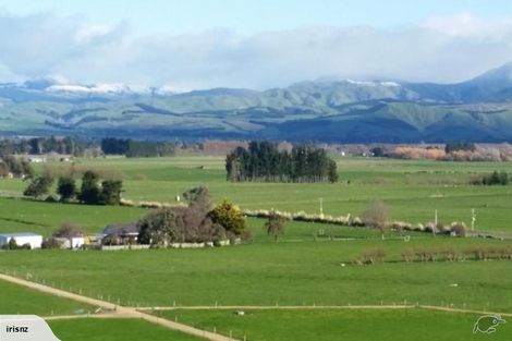 Photo of property in 53a Ferry Road, Martinborough, 5711