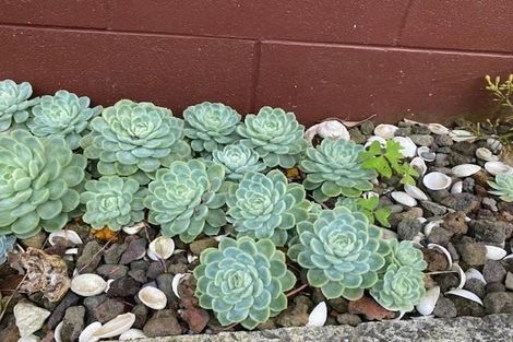 Photo of property in 1/22 Captain Scott Road, Glen Eden, Auckland, 0602