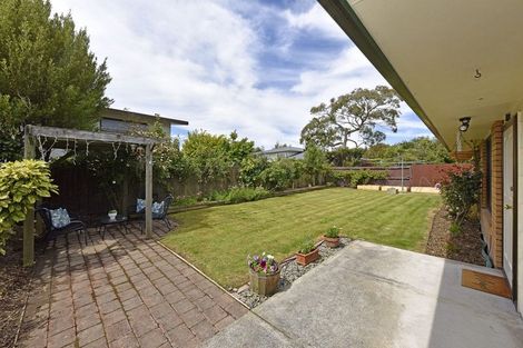 Photo of property in 17 Shannon Place, Belfast, Christchurch, 8051