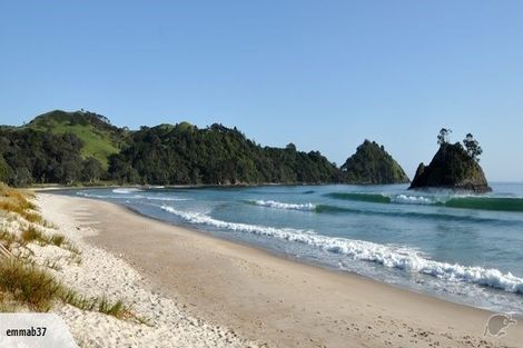 Photo of property in 46 Te Punga Road, Whangapoua, Coromandel, 3582