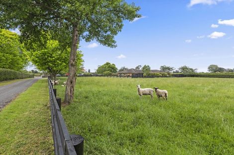 Photo of property in 37 Norrish Road, Ohaupo, 3881