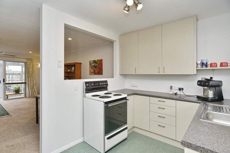 Photo of property in 3/188 Hastings Street East, Waltham, Christchurch, 8023
