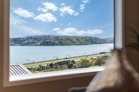 Photo of property in 56 John Burke Drive, Aotea, Porirua, 5024