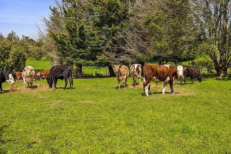 Photo of property in 5171b Mountain Road, Eltham, 4398