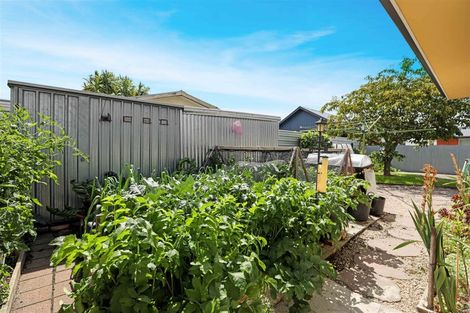 Photo of property in 41 Andrew Street, Allenton, Ashburton, 7700