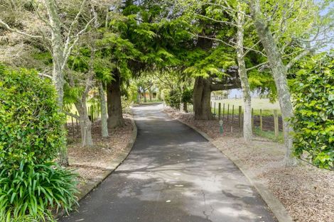 Photo of property in 218 Buckville Road, Buckland, Pukekohe, 2677