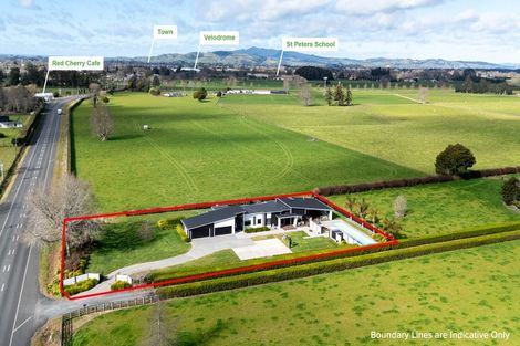 Photo of property in 1562 Cambridge Road, Cambridge, Hamilton, 3283
