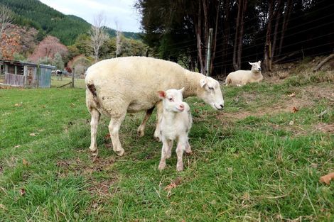 Photo of property in 26 Briggs Road, Onamalutu, Wairau Valley, 7275