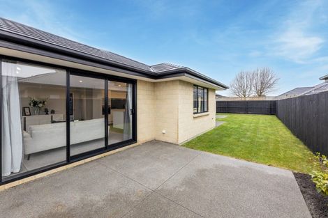 Photo of property in 61 Tauhinu Avenue, Lincoln, 7608