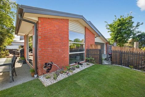 Photo of property in 20 Lindores Street, Addington, Christchurch, 8024