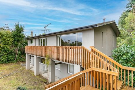 Photo of property in 45 Leven Street, Roslyn, Dunedin, 9010